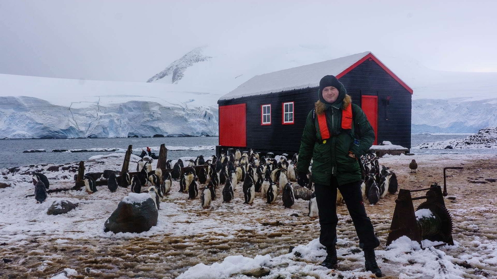 Penguins at Port Lockroy Station