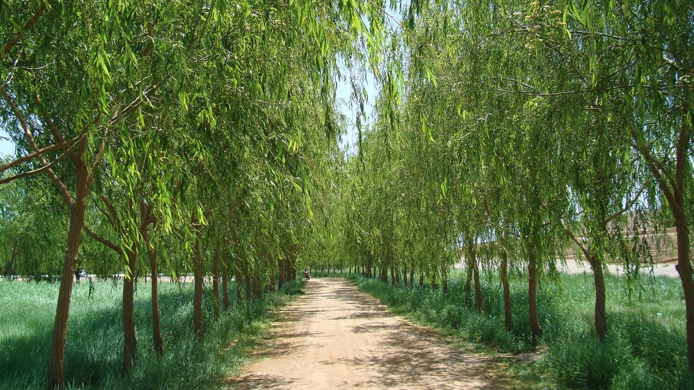 Small park near Jiayuguan