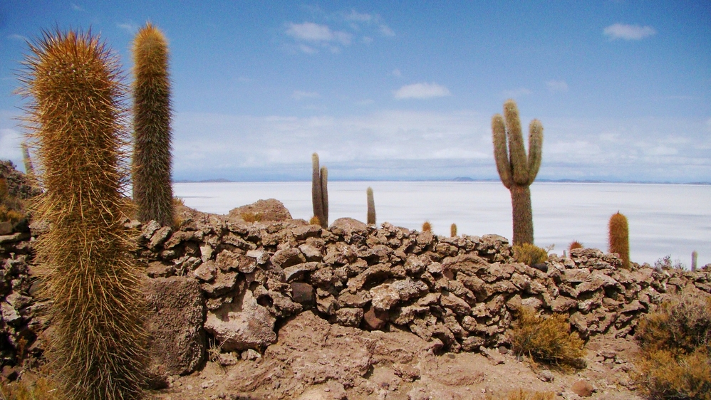 Incahuasi island