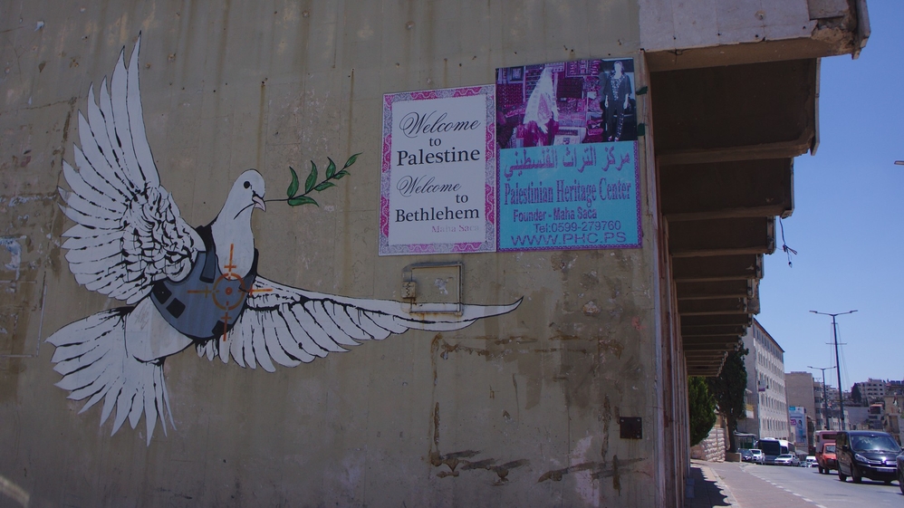 Peace pigeon